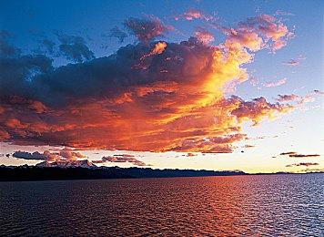 FS社新作《Spellbound》或将于2025年发售！