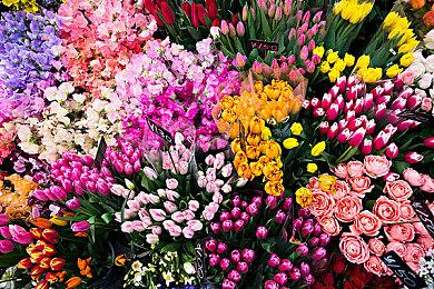 Xbox老板：索尼试图让Xbox规模变小来巩固自己地位